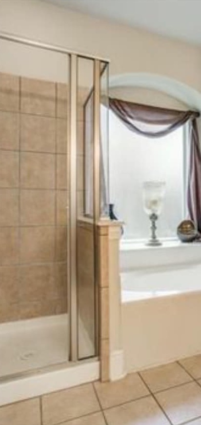  Tub and Shower Before 